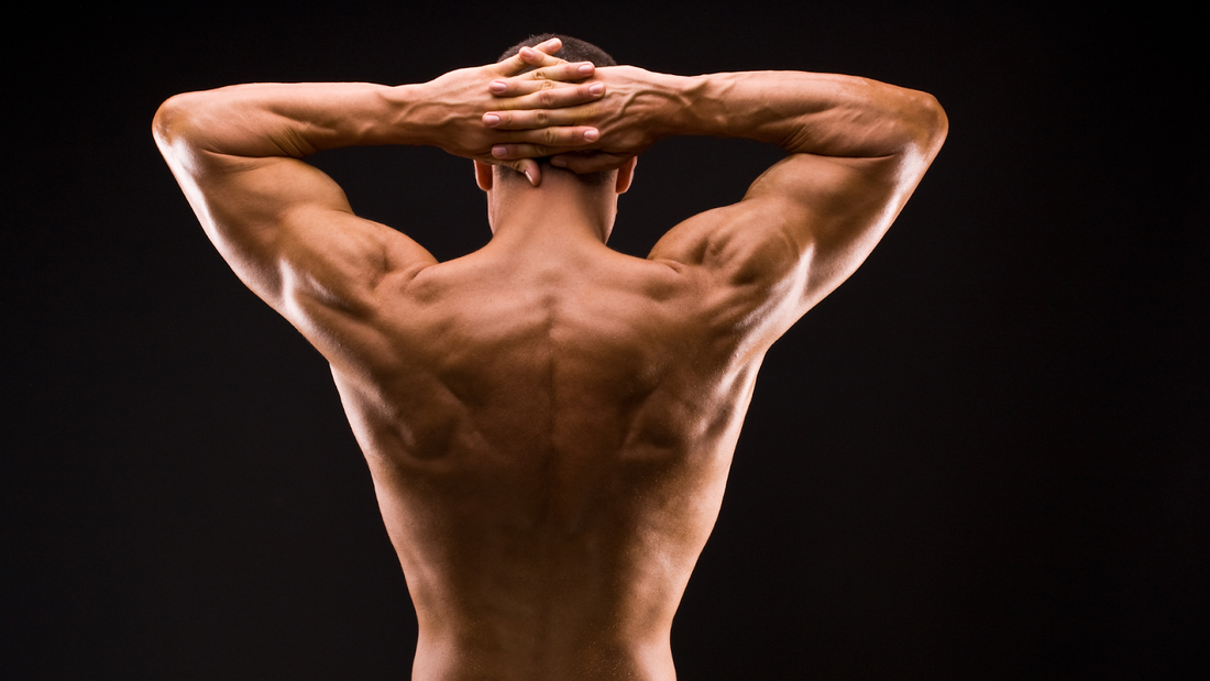 Man’s Back